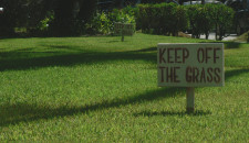 Keep Off the Grass: An Allegory